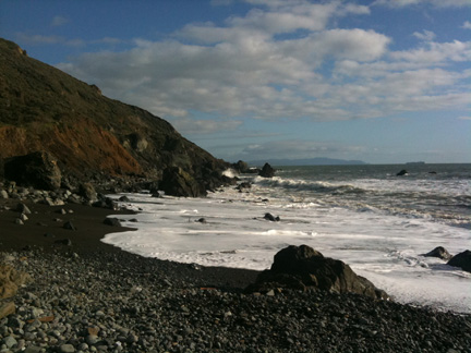 san francisco muir beach