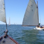 Oyster Bay, Clio